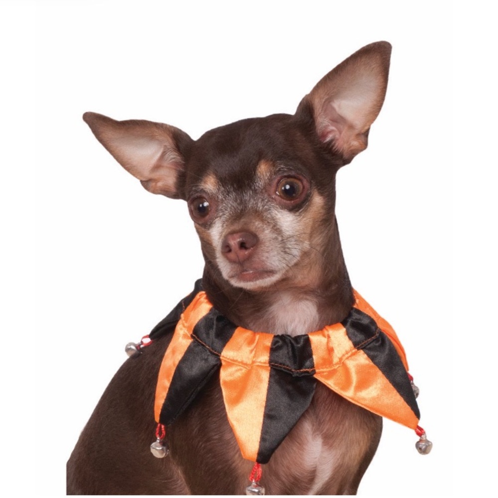 Jesters collar